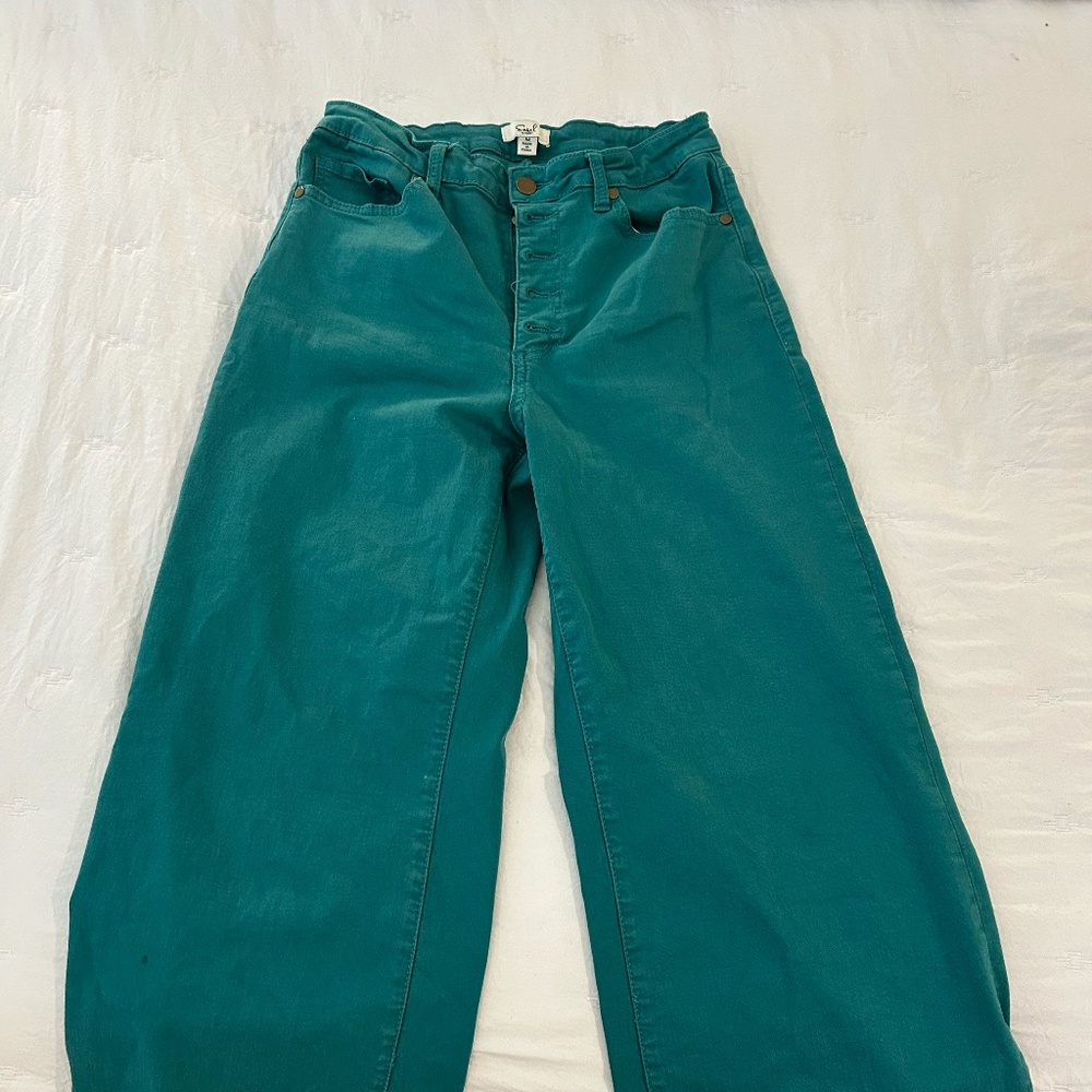 Easel Soft Stretch Twill Pant in Green
